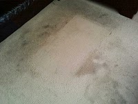 Bone Dry Carpet Cleaning 1056878 Image 3